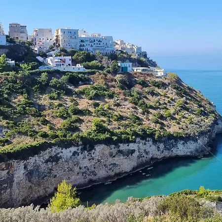 Vacanze Lejlighed